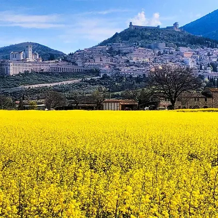 Da Marzietta Assisi